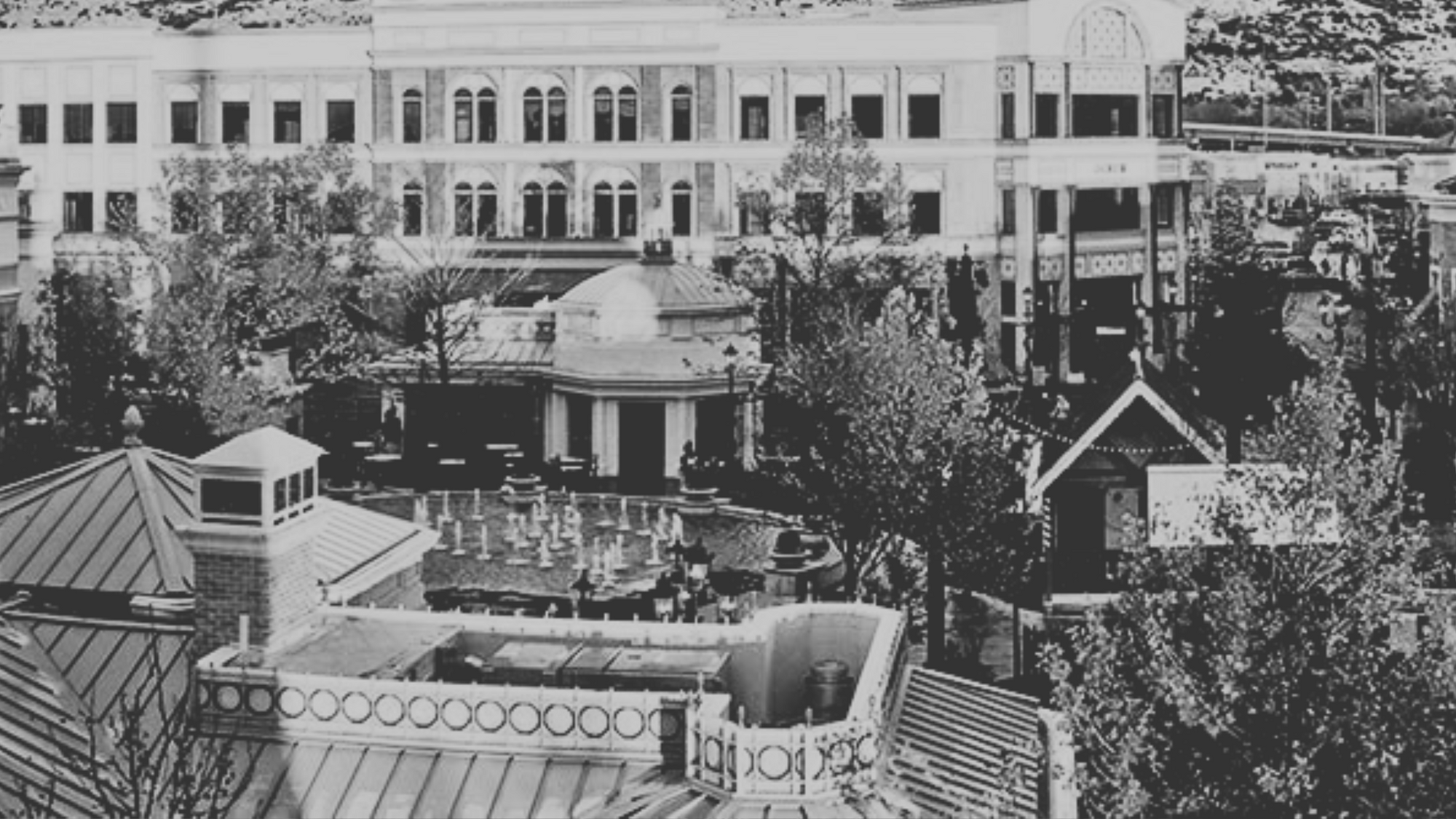 August 9, 2025 | Juniper Market